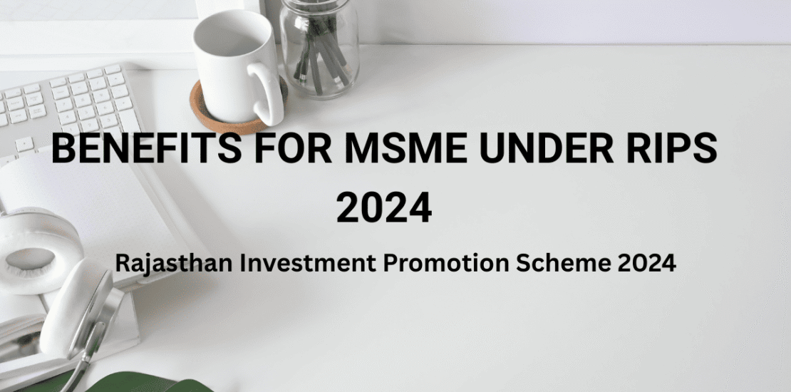 Benefits for MSME Under RIPS 2024